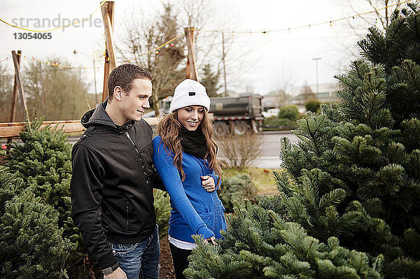 Ehepaar kontrolliert Weihnachtsbaum am Stand