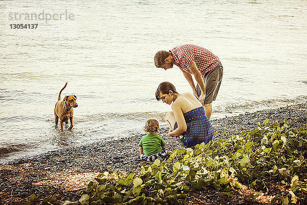 Hochwinkelaufnahme einer Familie mit Hund am Seeufer