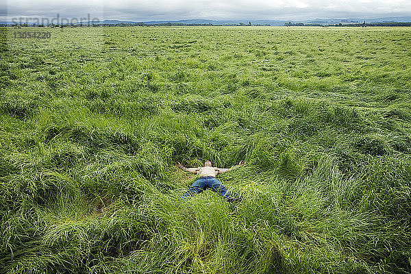 Mann entspannt sich auf Grasfeld