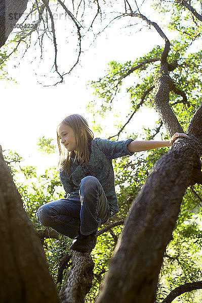 Mädchen klettert auf Baum im Wald