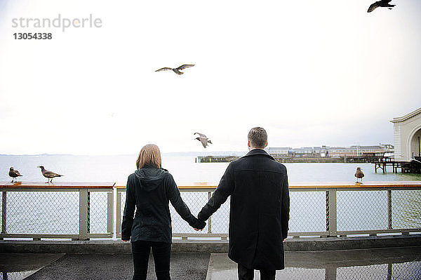 Rückansicht eines Paares  das sich an den Händen hält  während es am Meer steht