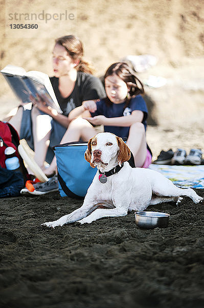 Familie entspannt am Strand mit Hund an einem sonnigen Tag