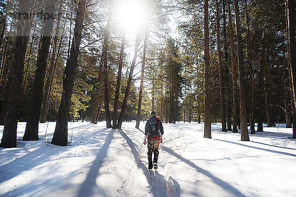 Rückansicht eines Mannes  der im Winter an einem sonnigen Tag im Wald wandert