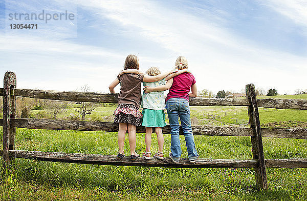 Rückansicht von Mädchen  die auf einem Zaun am Grasfeld gegen den Himmel stehen