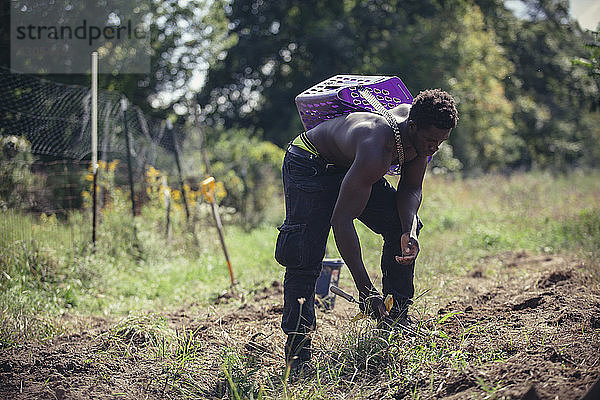 Muskulöser Landwirt ohne Hemd mit Korb bei der Feldarbeit
