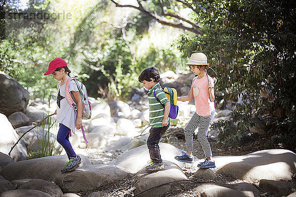 Kinder laufen auf Felsen im Wald