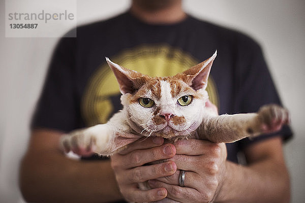 Mittelteil eines Mannes  der die Katze zu Hause hält