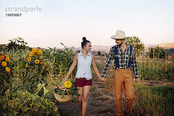 Paar hält sich beim Gehen auf dem Bauernhof bei klarem Himmel an den Händen