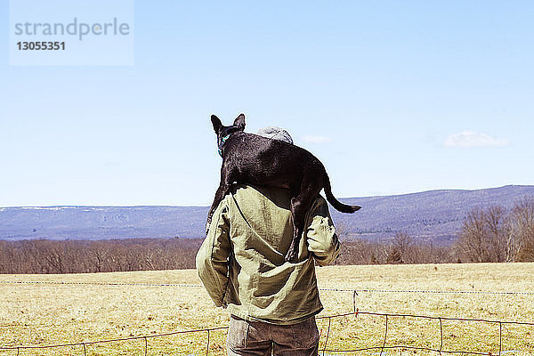 Rückansicht eines Mannes  der einen Hund auf den Schultern trägt  während er im Feld vor blauem Himmel steht