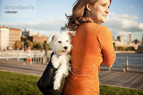 Lächelnde Frau trägt Hund in Tasche an sonnigem Tag