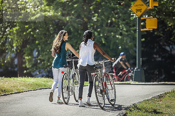 Freunde unterhalten sich beim Gehen mit dem Fahrrad auf der Straße