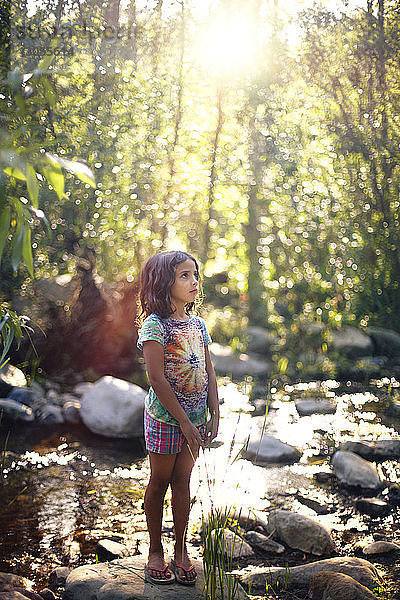 Mädchen schaut auf  während sie am Fluss im Wald steht