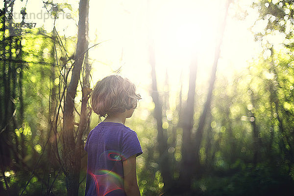 Rückansicht eines Mädchens  das an einem sonnigen Tag im Wald steht