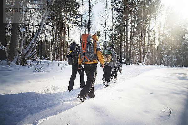 Rückansicht von Wanderern  die an einem sonnigen Tag im schneebedeckten Wald spazieren