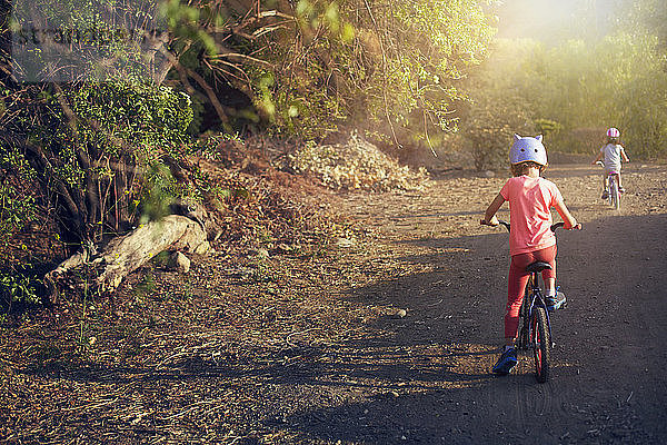 Rückansicht von fahrradfahrenden Kindern auf der Straße auf dem Feld