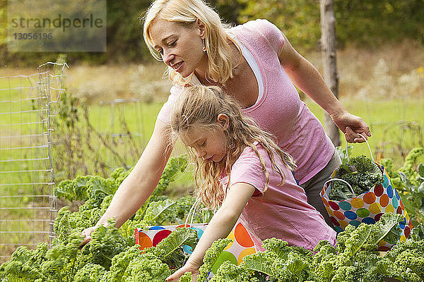 Mutter und Tochter bei der Gemüseernte