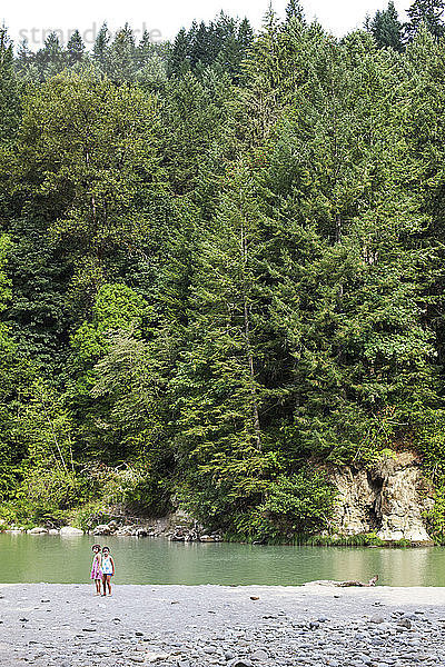 Fernsicht auf Kinder  die am Fluss an Bäumen stehen