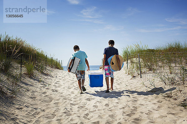 Rückansicht von Brüdern  die beim Strandspaziergang eine Kühlbox tragen