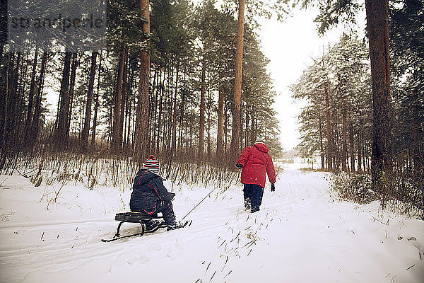 Großmutter rodelt Schlittenjunge im schneebedeckten Wald