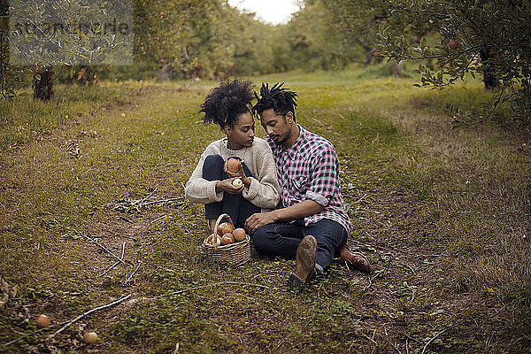 Ehepaar sitzt auf dem Feld in der Apfelplantage