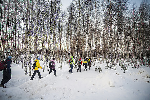 Wanderer  die auf schneebedecktem Feld gegen kahle Bäume laufen