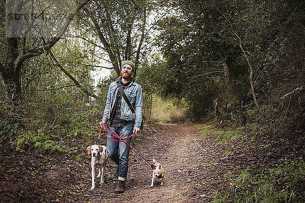 Mann mit Hunden beim Waldspaziergang