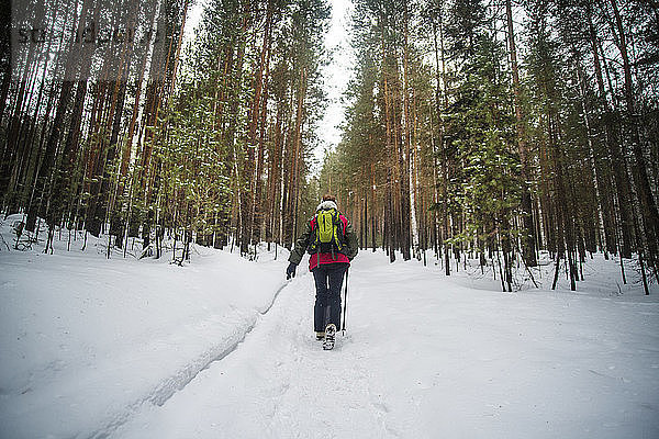 Rückansicht eines Wanderers mit Rucksack  der im Winter im Wald wandert