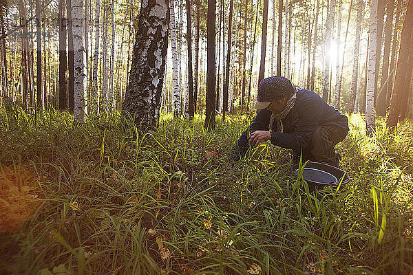 Mann sammelt Pilze auf einem Feld im Wald