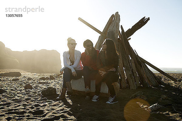 Freundinnen sitzen auf Holz am Strand
