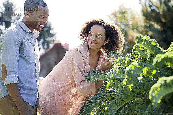 Glückliche Frau schaut den Mann an  während sie eine Pflanze auf dem Bauernhof hält