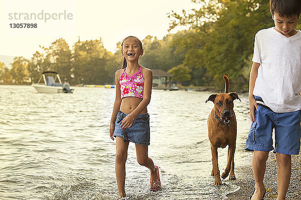 Glückliche Geschwister spazieren mit Hund am Seeufer