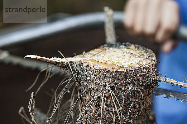 Beschnittenes Bild eines Jungen  der auf dem Feld mit der Handsäge Holz sägt