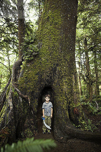 Porträt eines Jungen  der ein Schwertspielzeug hält  während er im Wald an einem Baumstamm steht