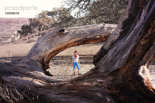 Porträt eines Mädchens durch einen Baumstamm an einem sonnigen Tag gesehen
