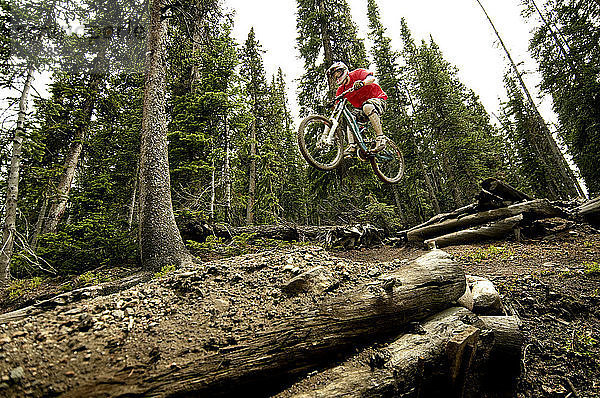 Niedrigwinkelansicht eines Radfahrers bei einem Stunt im Wald