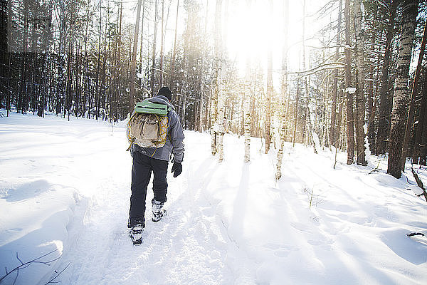 Rückansicht eines männlichen Wanderers mit Rucksack  der an einem sonnigen Tag im schneebedeckten Wald wandert
