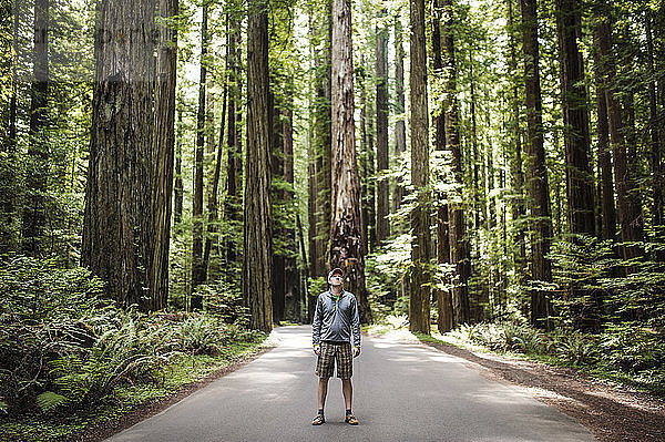 Mann steht auf der Straße inmitten von Bäumen im Wald
