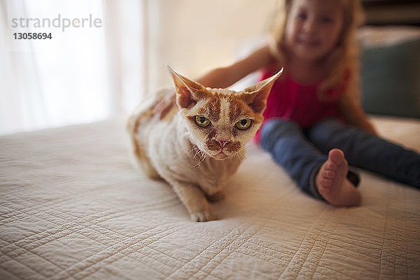 Mädchen sitzt zu Hause mit Katze auf dem Bett