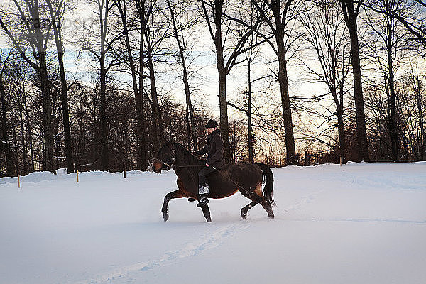 Mann reitet Pferd auf schneebedecktem Feld