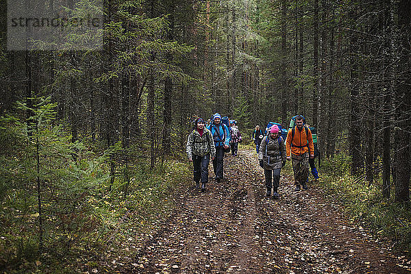 Freunde gehen auf einem Feldweg zwischen Bäumen im Wald