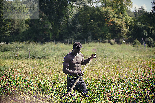 Muskulöser Landwirt ohne Hemd bei der Feldarbeit