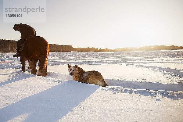 Mann sitzt auf Pferd und Hund auf schneebedecktem Feld vor klarem Himmel