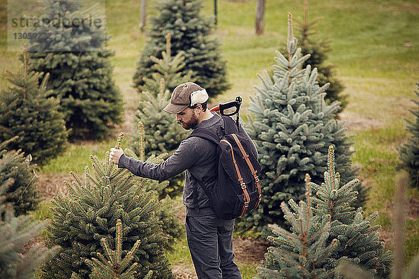 Hochwinkelansicht eines Mannes  der einen Kiefernholzbaum hält  während er in einer Baumschule steht