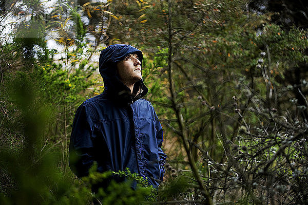Mann mit Kapuzenjacke schaut weg auf Wald