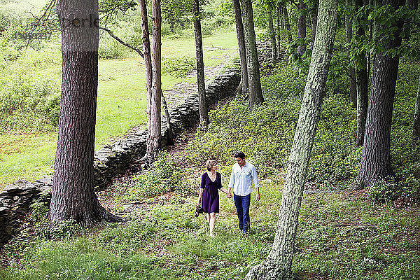 Paar hält sich beim Gehen auf dem Feld an den Händen