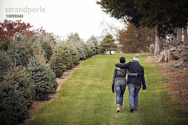 Rückansicht eines Paares  das auf einem Grasfeld bei einer Weihnachtsbaumfarm spazieren geht