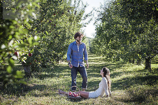 Glücklicher Mann sieht Frau mit Apfelkorb im Obstgarten sitzend an