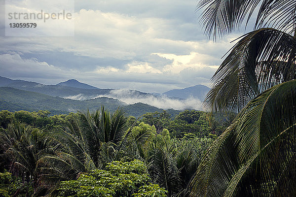 Tropische Landschaft gegen Berge