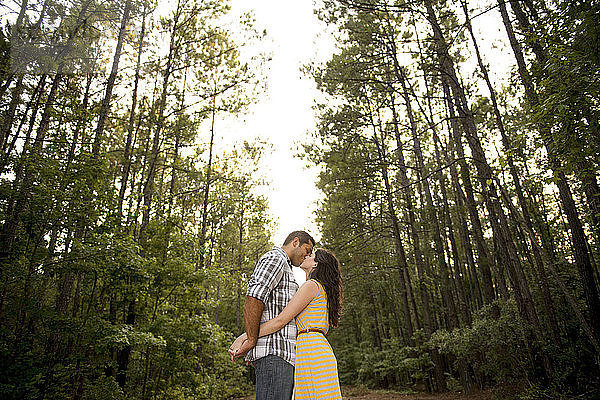 Paar küsst sich  während es im Wald an Bäumen steht