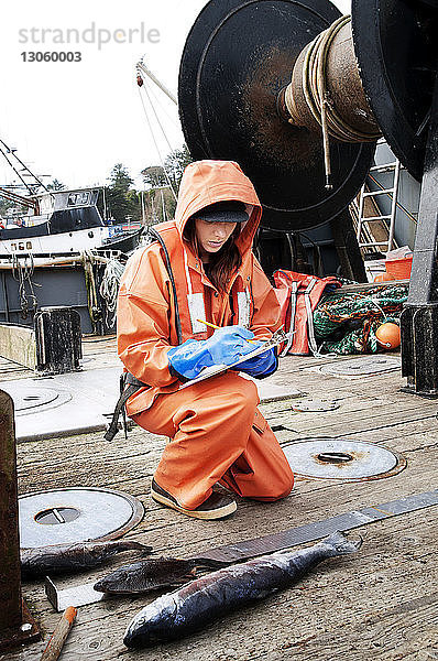 Frau kontrolliert Fische und schreibt auf dem Klemmbrett am Fischerboot